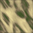 Diffuse Map