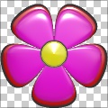 Foxxee's Flower Power