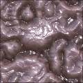 Intestines