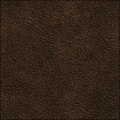 Leather