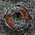 Diffuse Map