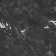 Bump Map