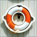 Augment Image