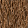 Bark