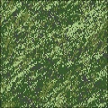 Digital Camouflage
