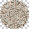 Spiral tileing v1