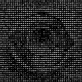 Invaders