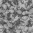 Bump Map