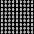 Bump Map
