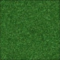 Dragon Skin