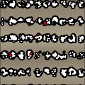 Alphabets
