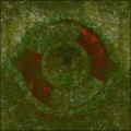 Moss-covered