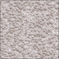 sun-bleached gravel