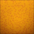 Diffuse Map
