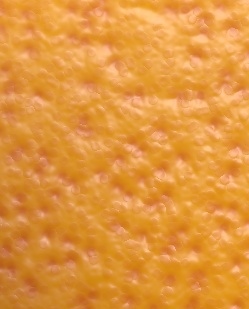 Citrus