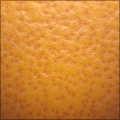 Citrus