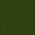Moss
