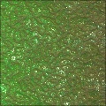 something_green