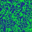 Diffuse Map