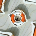 Rotate Distort