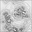 Bump Map