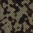 Variation 5