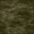 village dirt ground