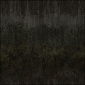 Forgotten Wall
