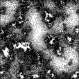 Ambient Occlusion Map
