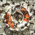 Variation 1