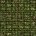 Ruins 1