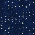 AL_stars shines brightly