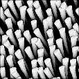 Ambient Occlusion Map