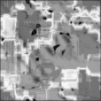 Bump Map