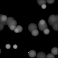 Bump Map