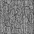 Bump Map