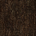 Tree Bark