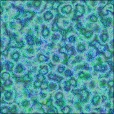 Diffuse Map