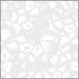Bump Map
