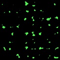 Alien Symbols
