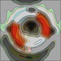Image Distortions 1.