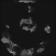 Bump Map
