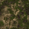 Variation 8