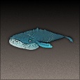 Diffuse Map