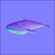 Normal Map