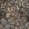 Variation 5