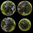 Variation 5