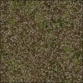 Complex Ground Vol. II