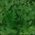 TechCamo