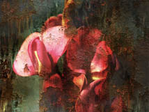 Digitally Aging by workhard